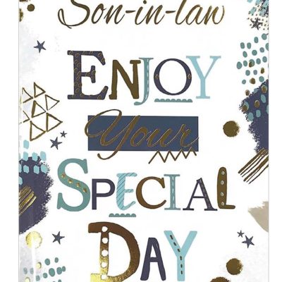 Simon Elvin Son In Law Birthday Card – Male Mens Scene 23cm x 15.5cm (9″x6″) E