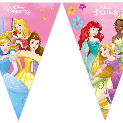 Procos Folat 93851P Bunting FSC Princess 2.3 Metres, Multi-Colour, Waist Unique